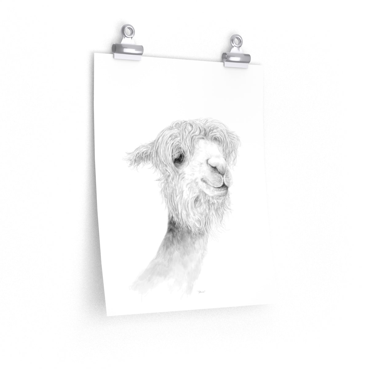 PATRICIA Llama- Art Paper Print