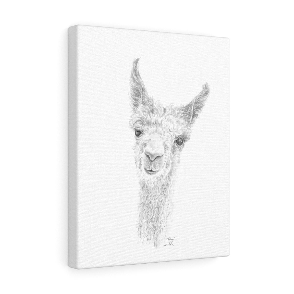 HALEY Llama - Art Canvas