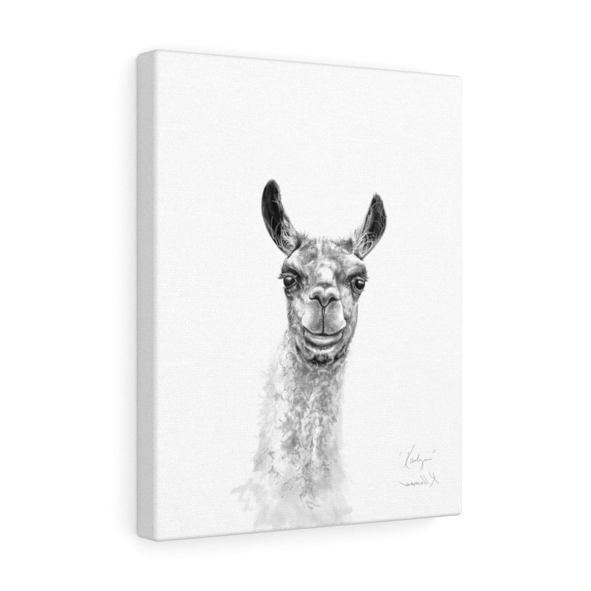 KAILYN Llama - Art Canvas