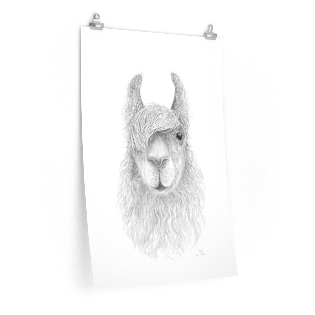 CHRIS Llama- Art Paper Print