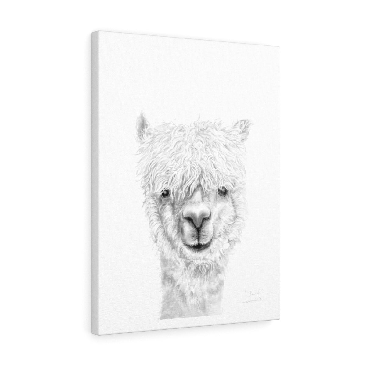 RANDI Llama - Art Canvas