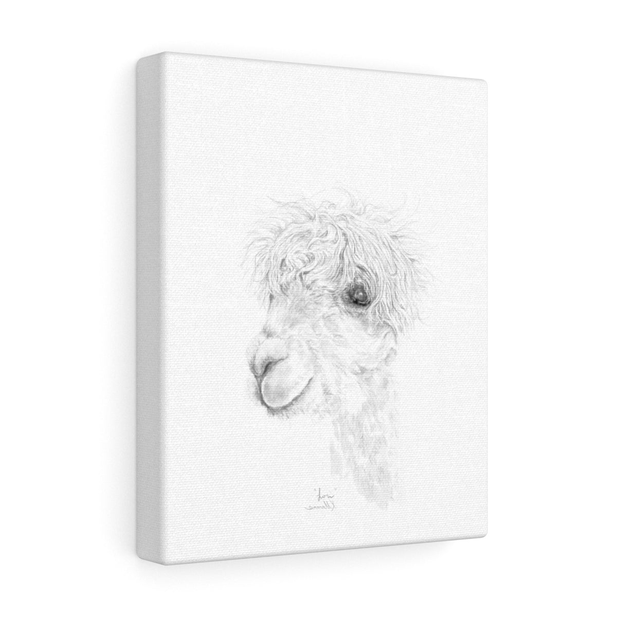 LORI Llama - Art Canvas