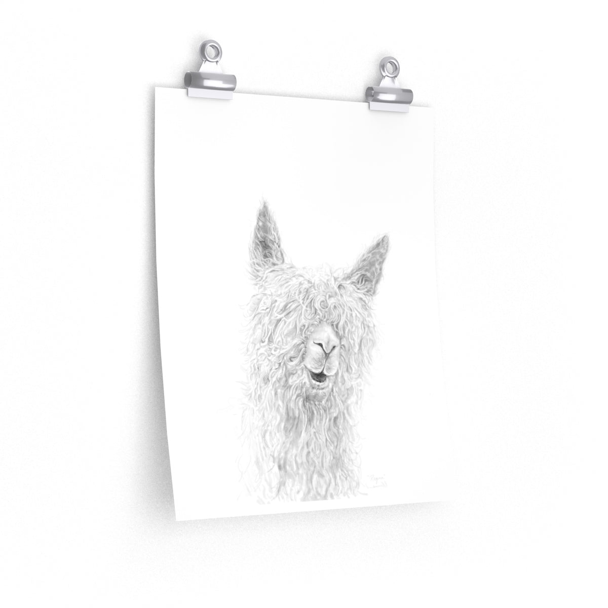 REGINA Llama- Art Paper Print