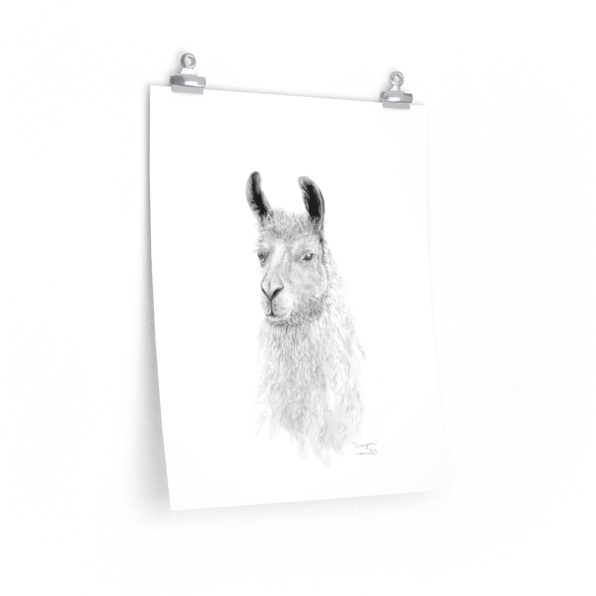GRAYSON Llama- Art Paper Print
