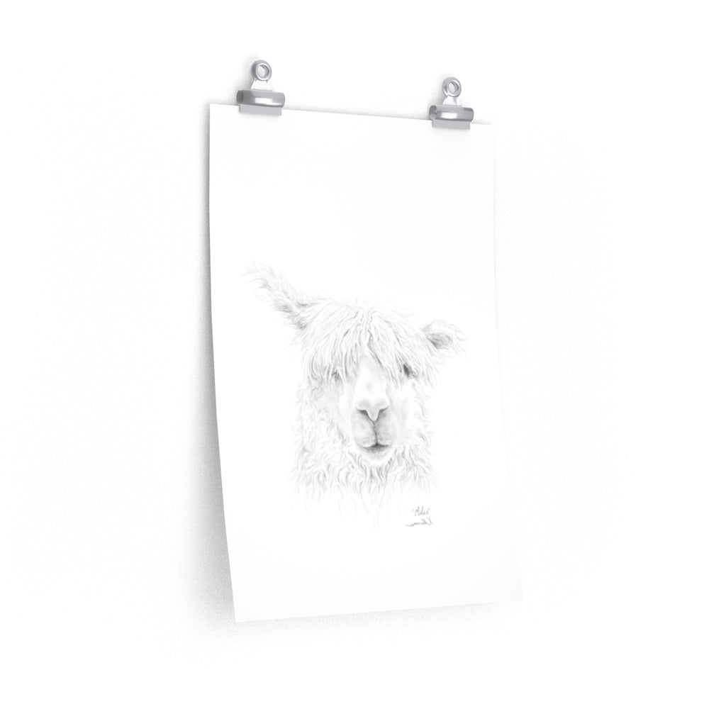 MILES Llama- Art Paper Print