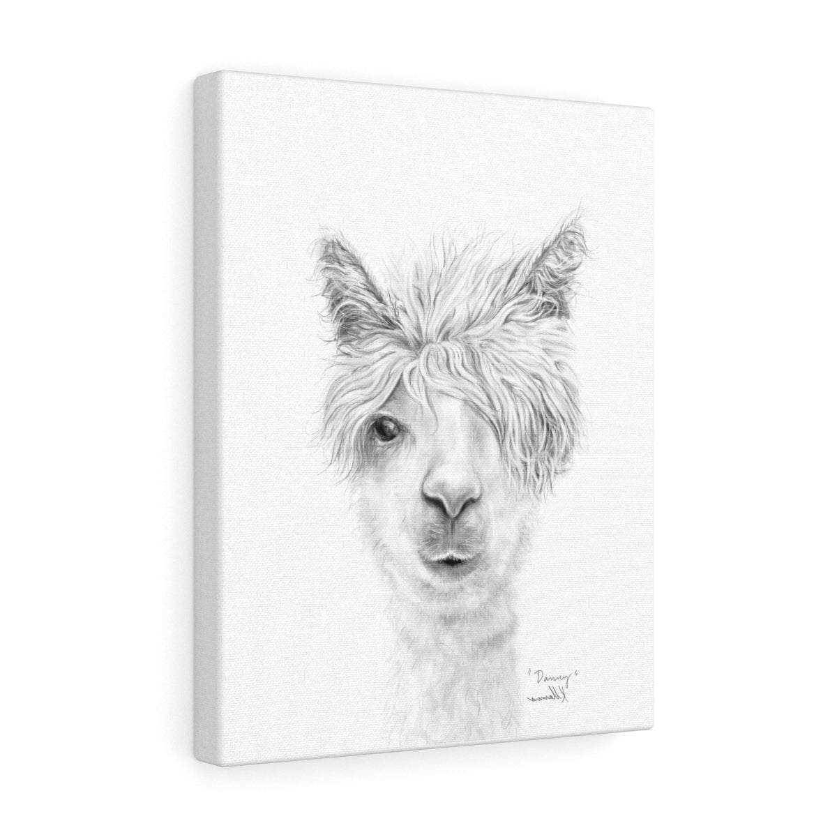 DANNY Llama - Art Canvas