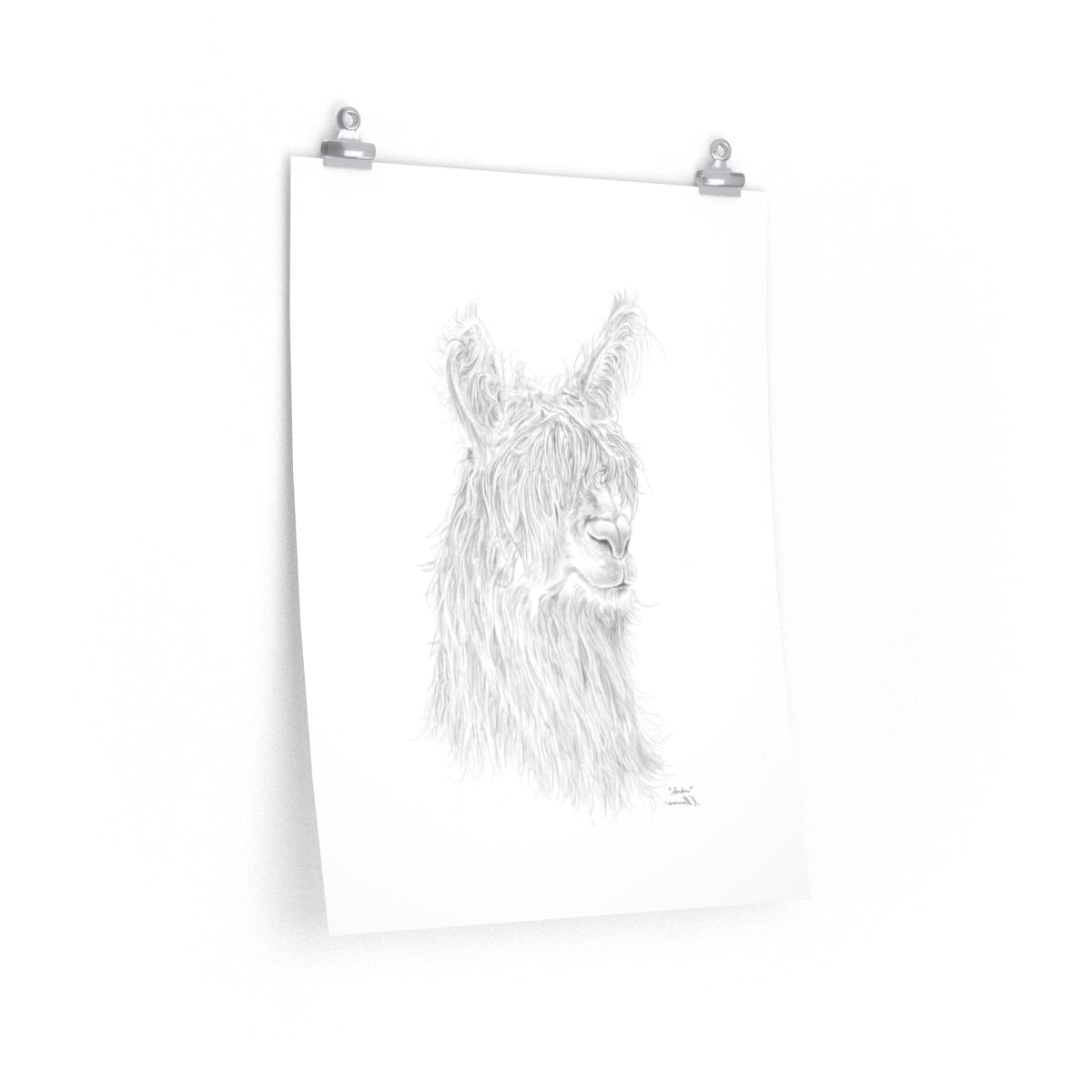 AMBER Llama- Art Paper Print