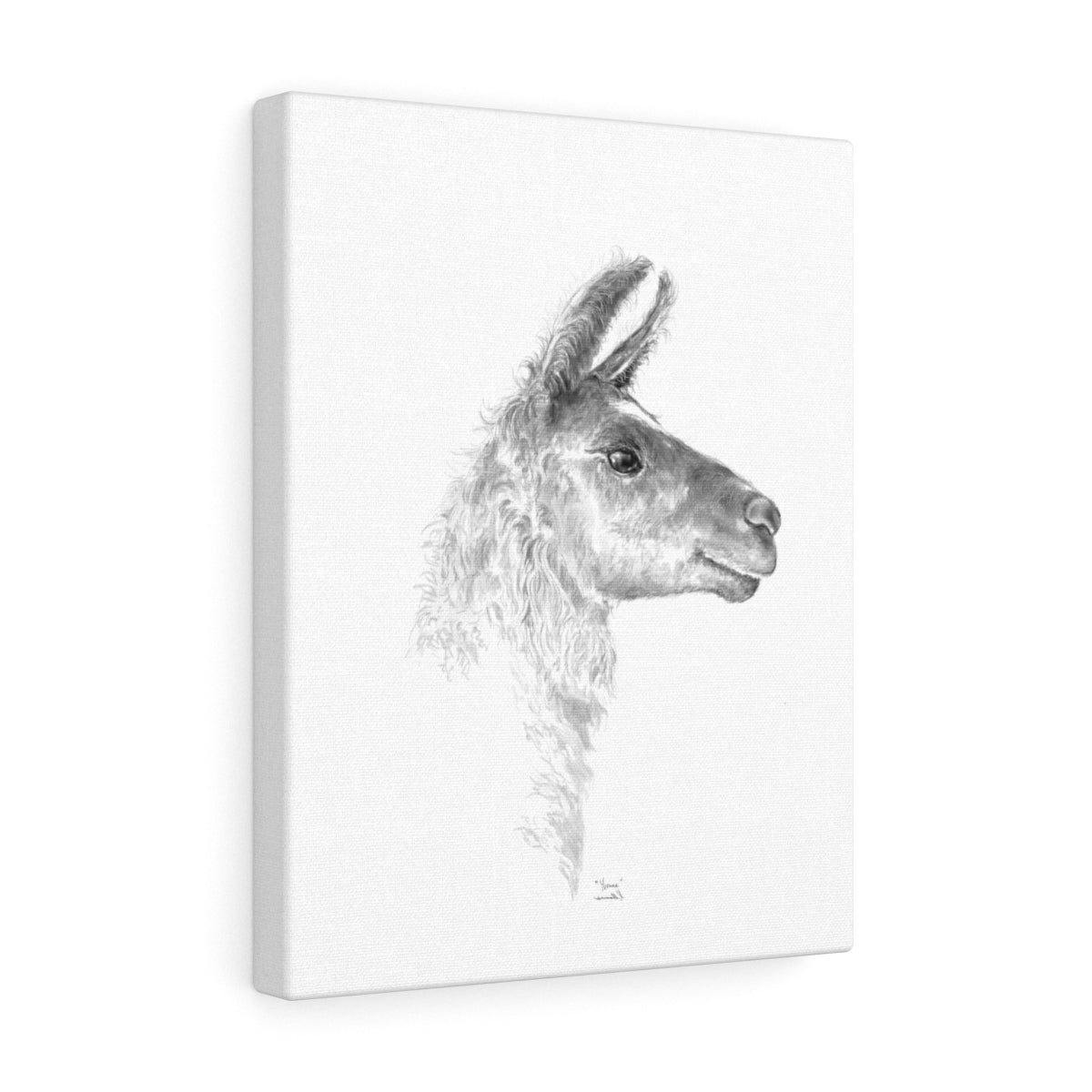 YVONNE Llama - Art Canvas