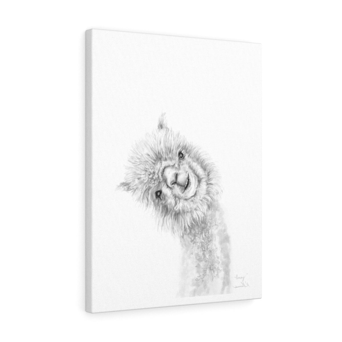 PENNY Llama - Art Canvas