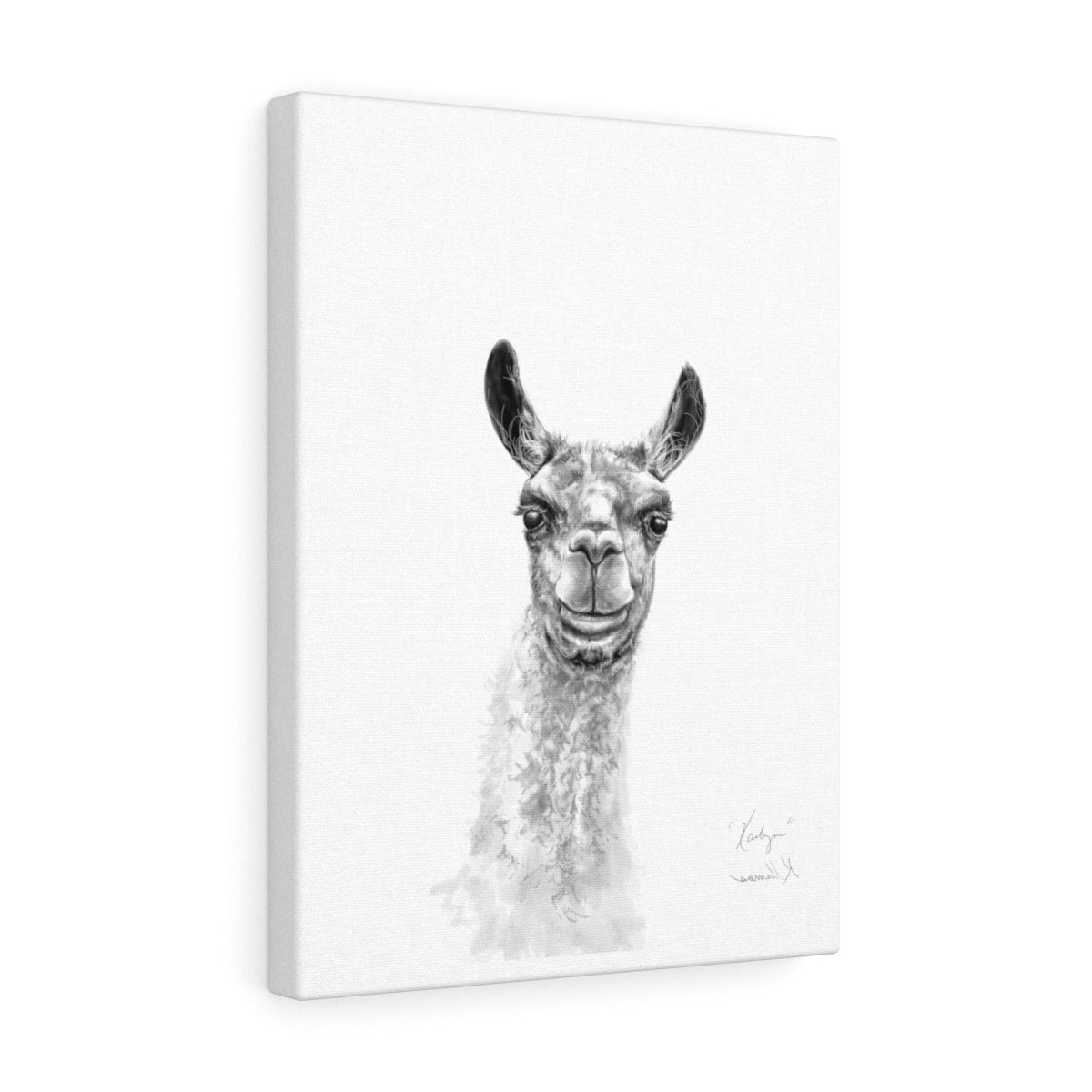 KAILYN Llama - Art Canvas