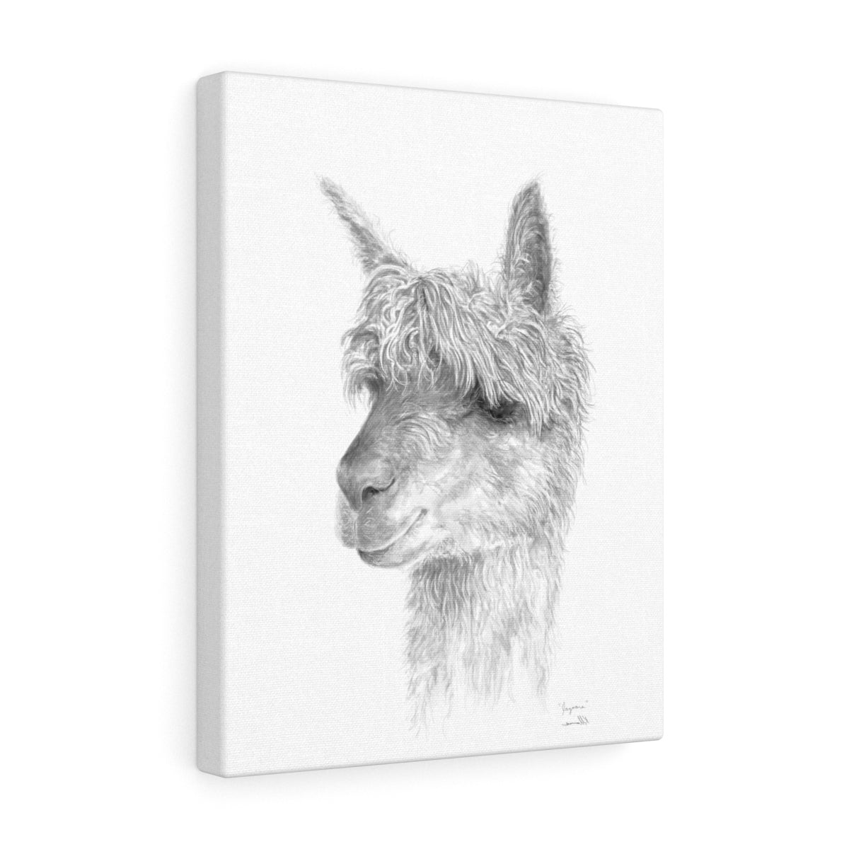 JAZOARA Llama - Art Canvas