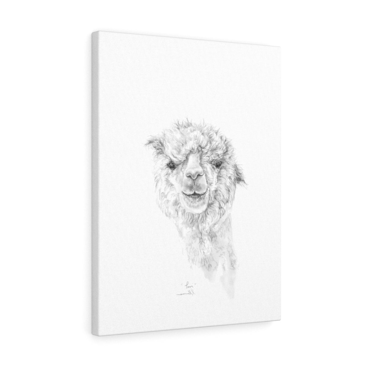 TAVI Llama - Art Canvas