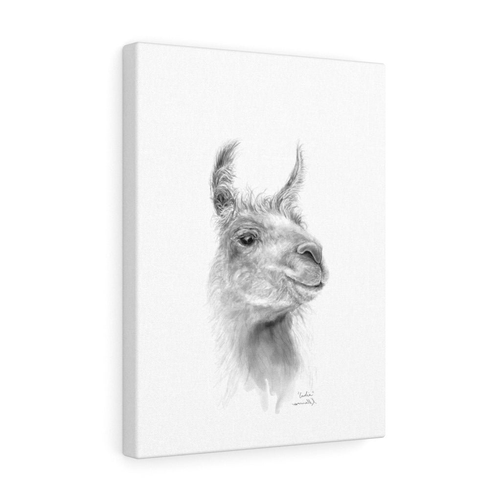 INDIA Llama - Art Canvas