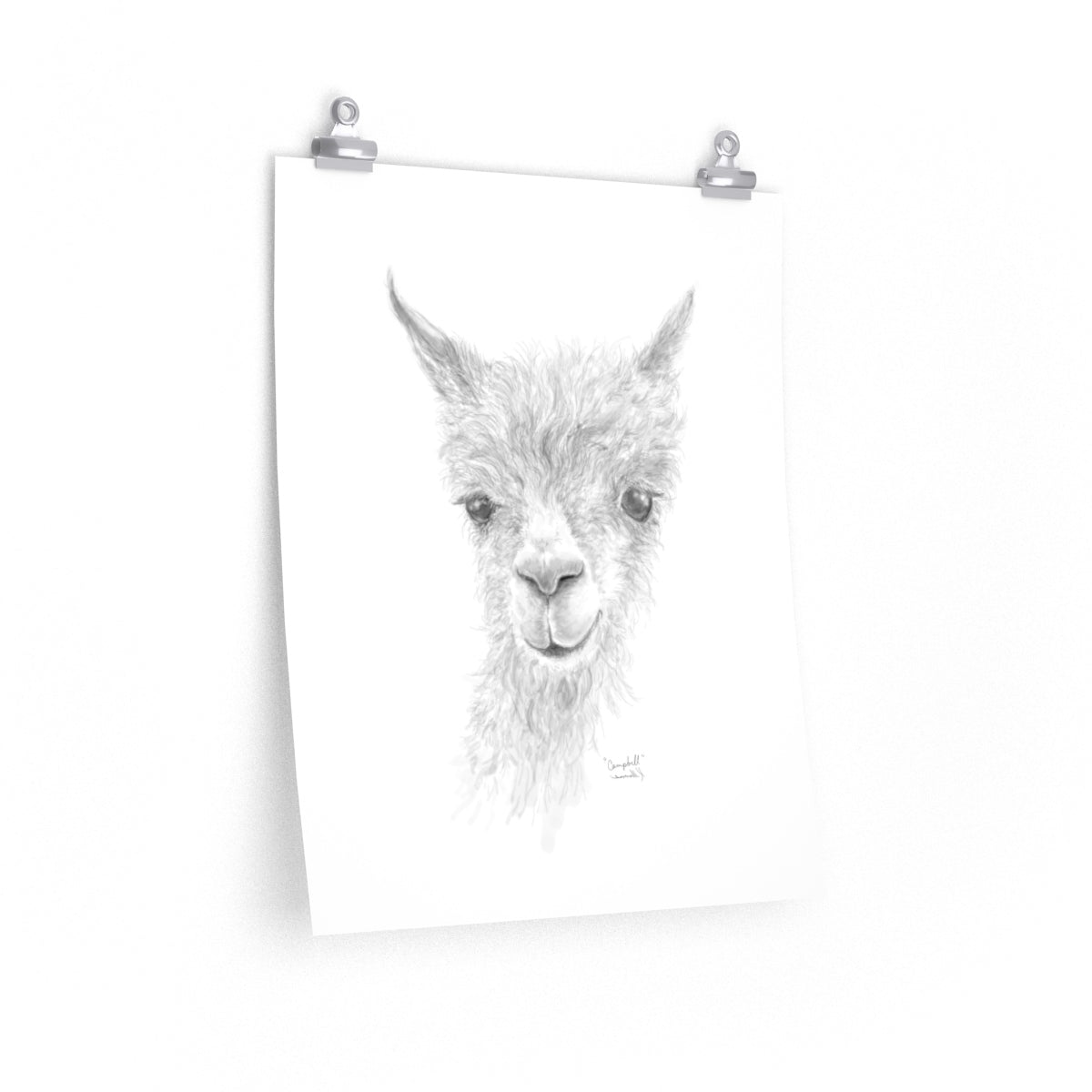 CAMPBELL Llama- Art Paper Print