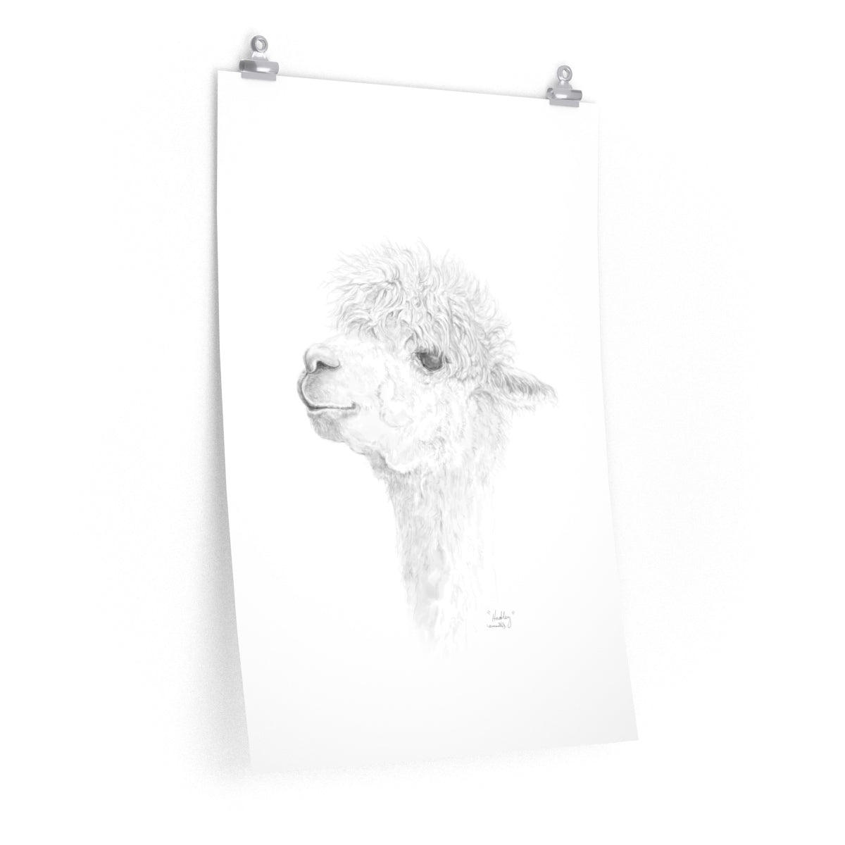 HADLEY Llama- Art Paper Print