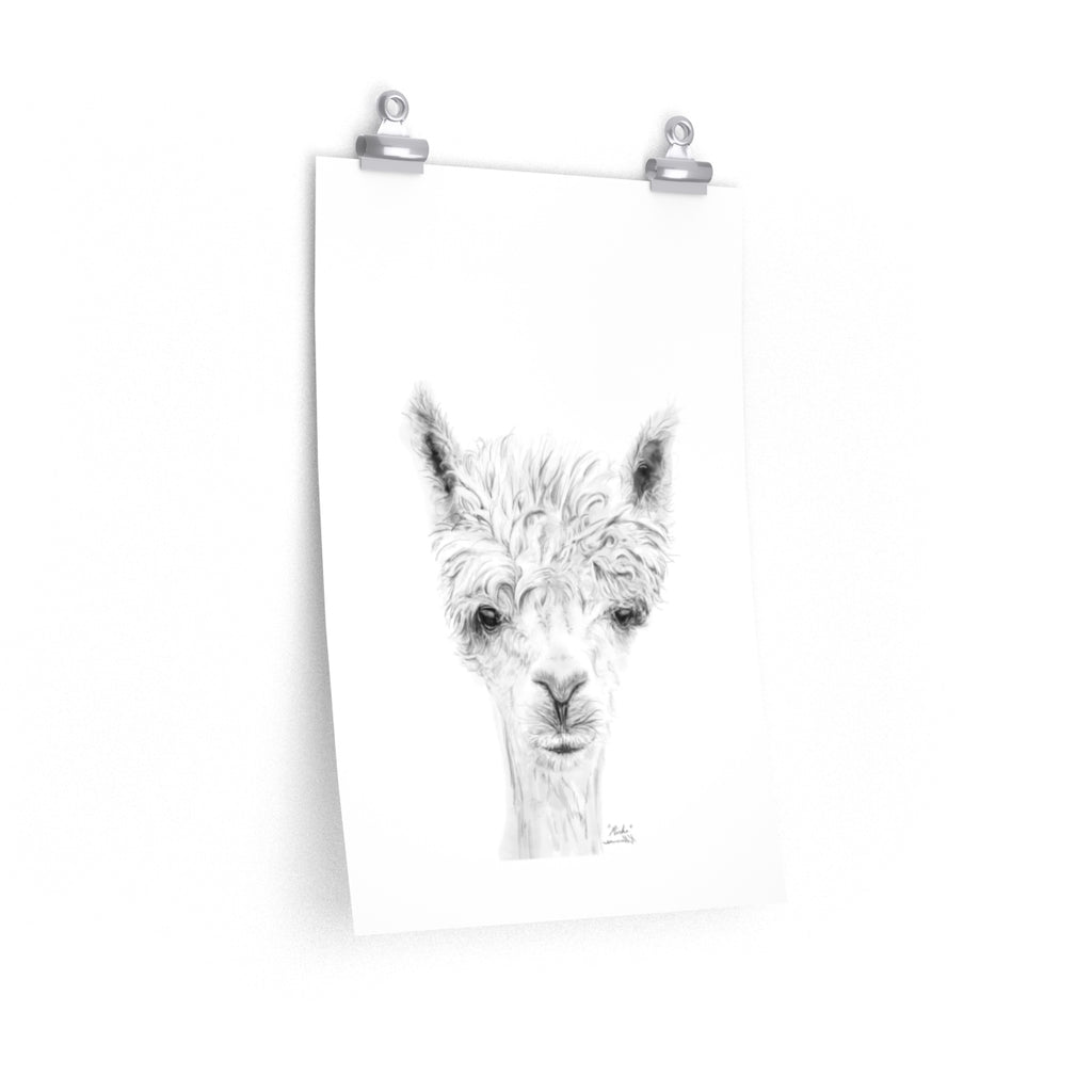 MIRKO Llama- Art Paper Print
