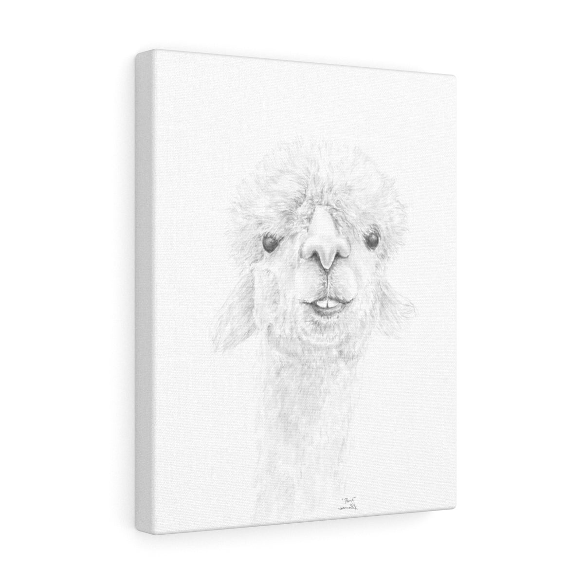 PEARL Llama - Art Canvas