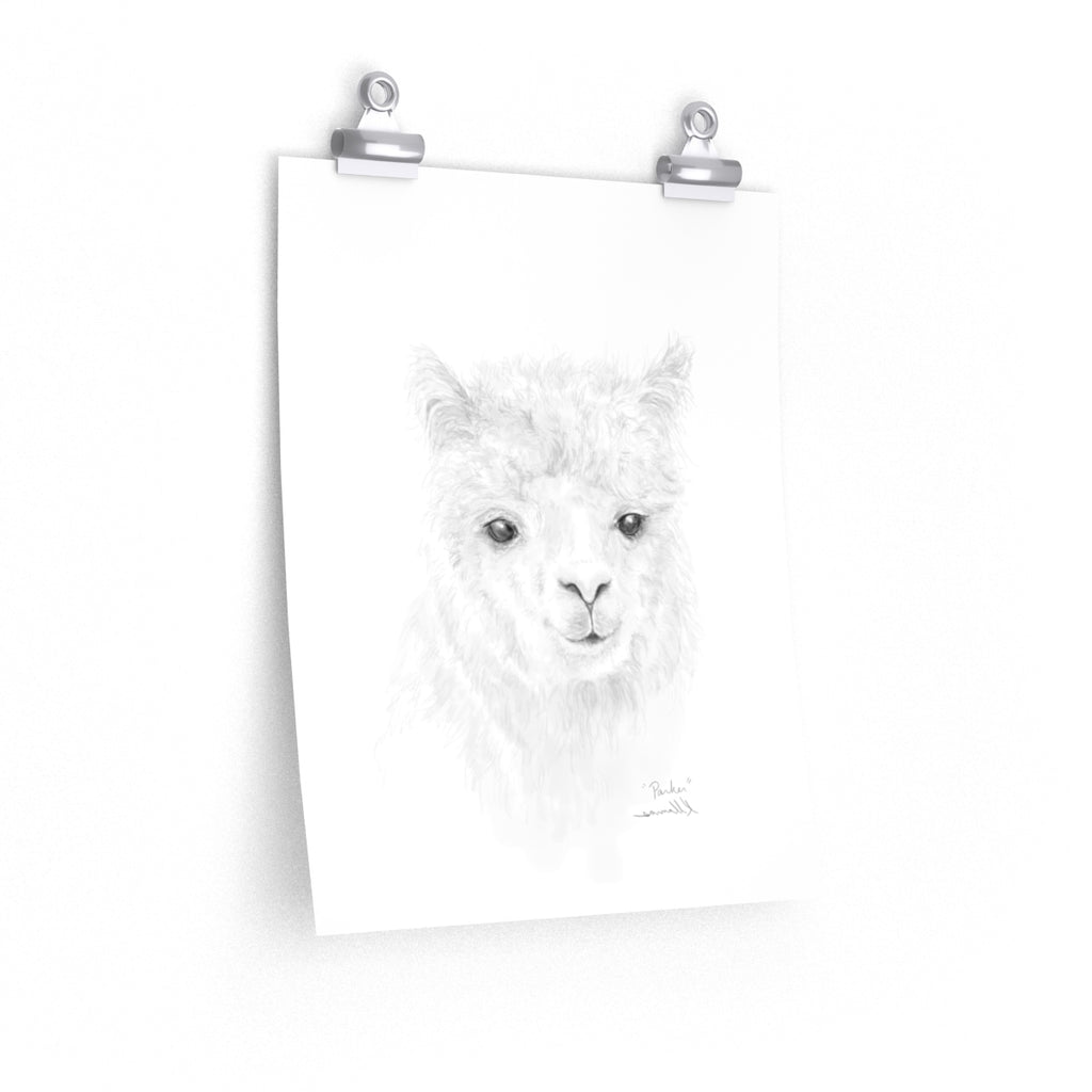PARKER Llama- Art Paper Print