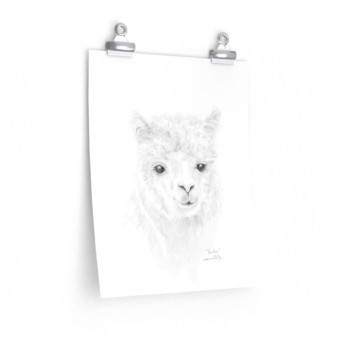 PARKER Llama- Art Paper Print