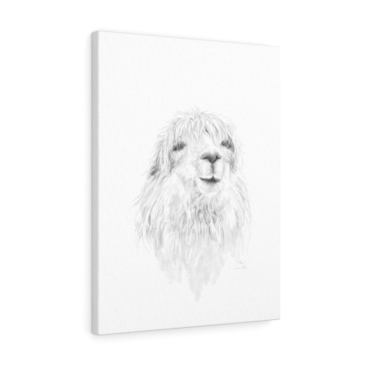 MAX Llama - Art Canvas