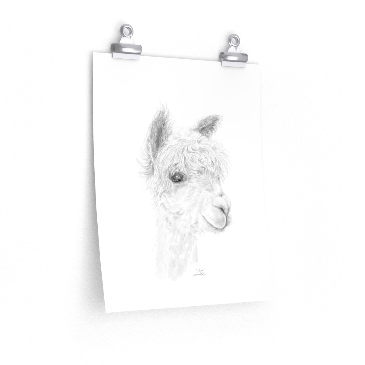 ANNE Llama- Art Paper Print
