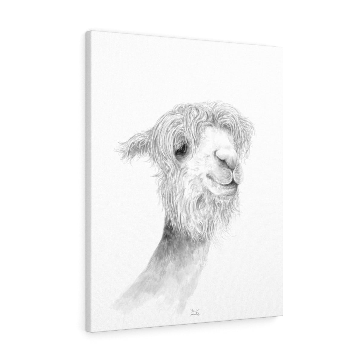 PATRICIA Llama - Art Canvas