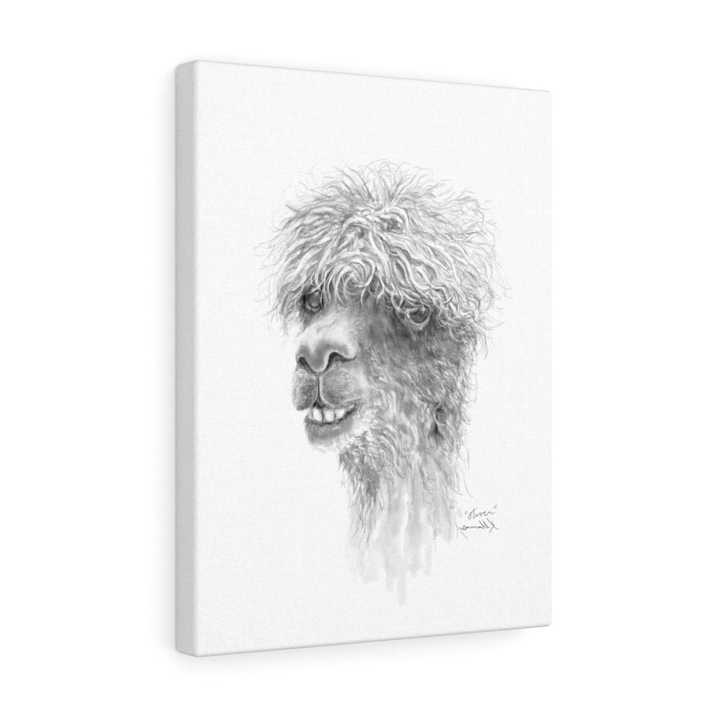 OLIVER Llama - Art Canvas