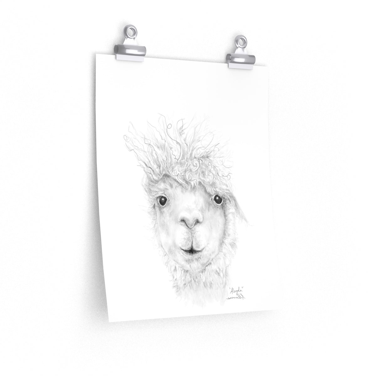 ALEYDA Llama- Art Paper Print