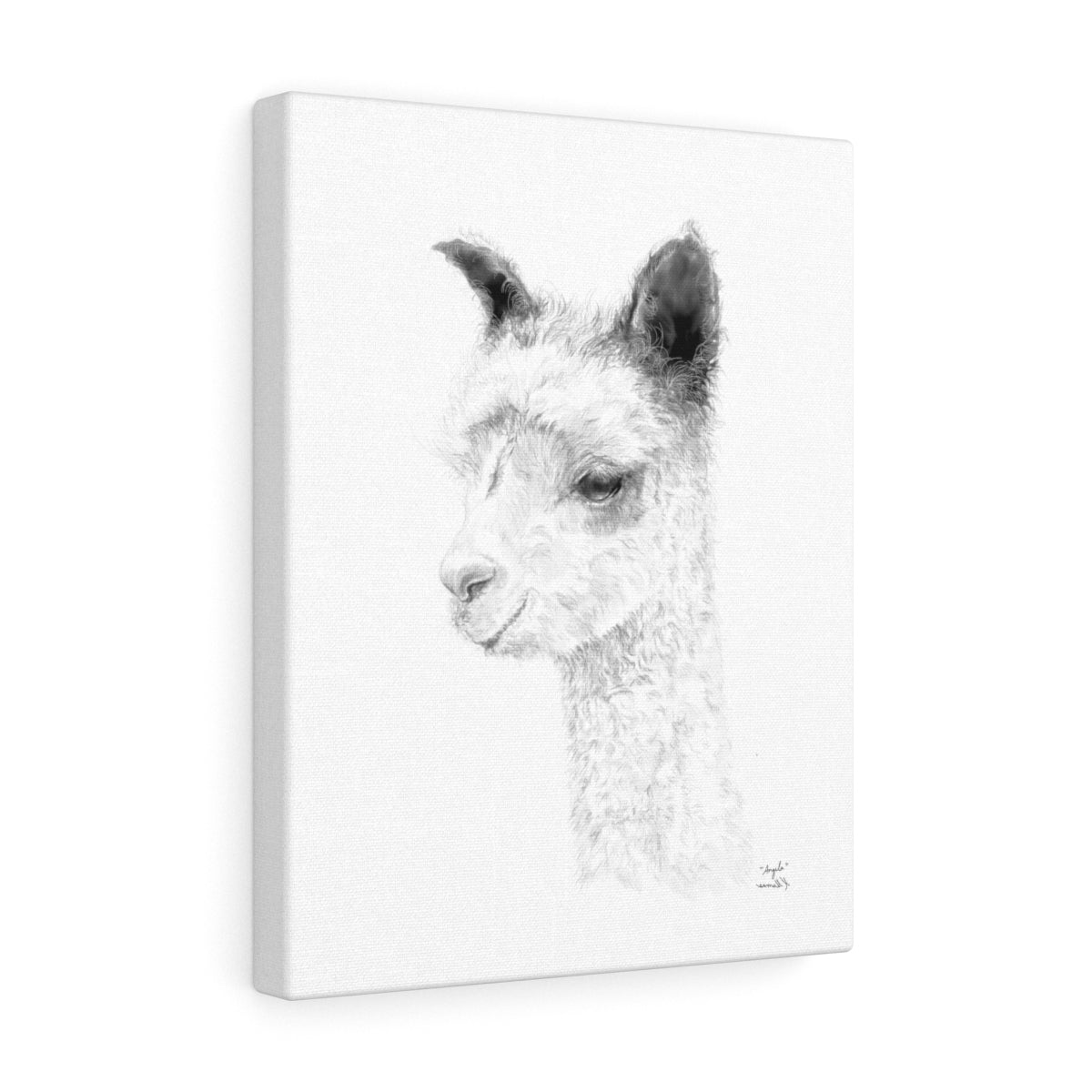 ANGELA Llama - Art Canvas