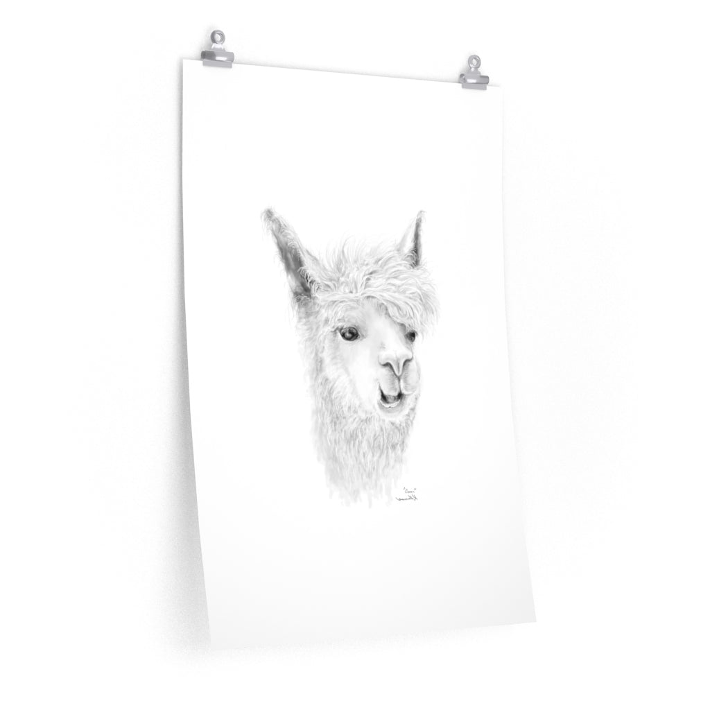 OMAR Llama- Art Paper Print