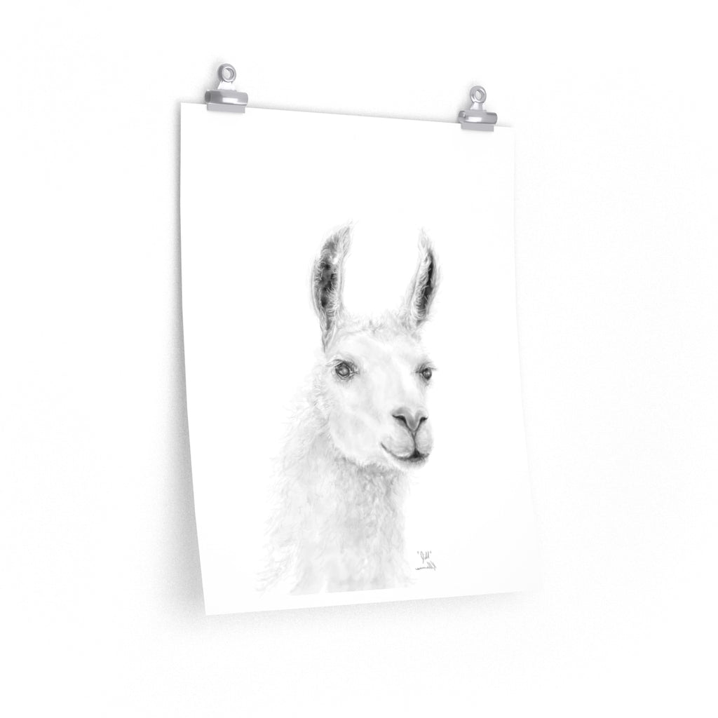 JILL Llama- Art Paper Print