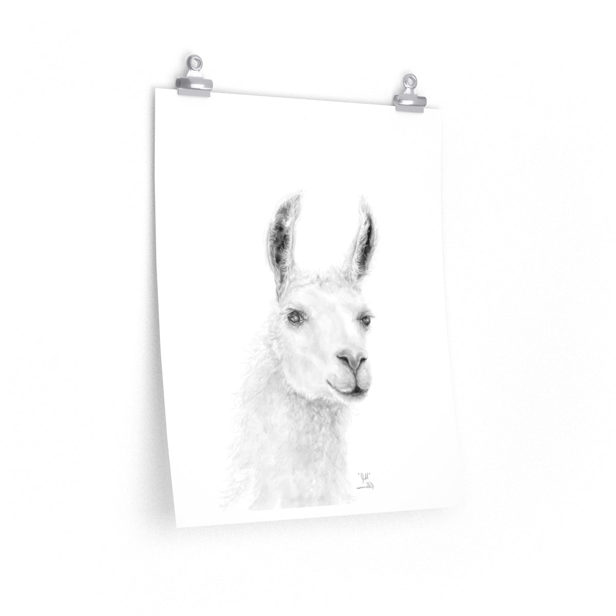 JILL Llama- Art Paper Print