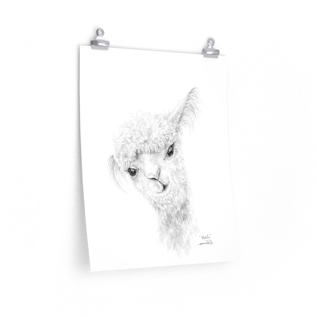 NATALIA Llama- Art Paper Print