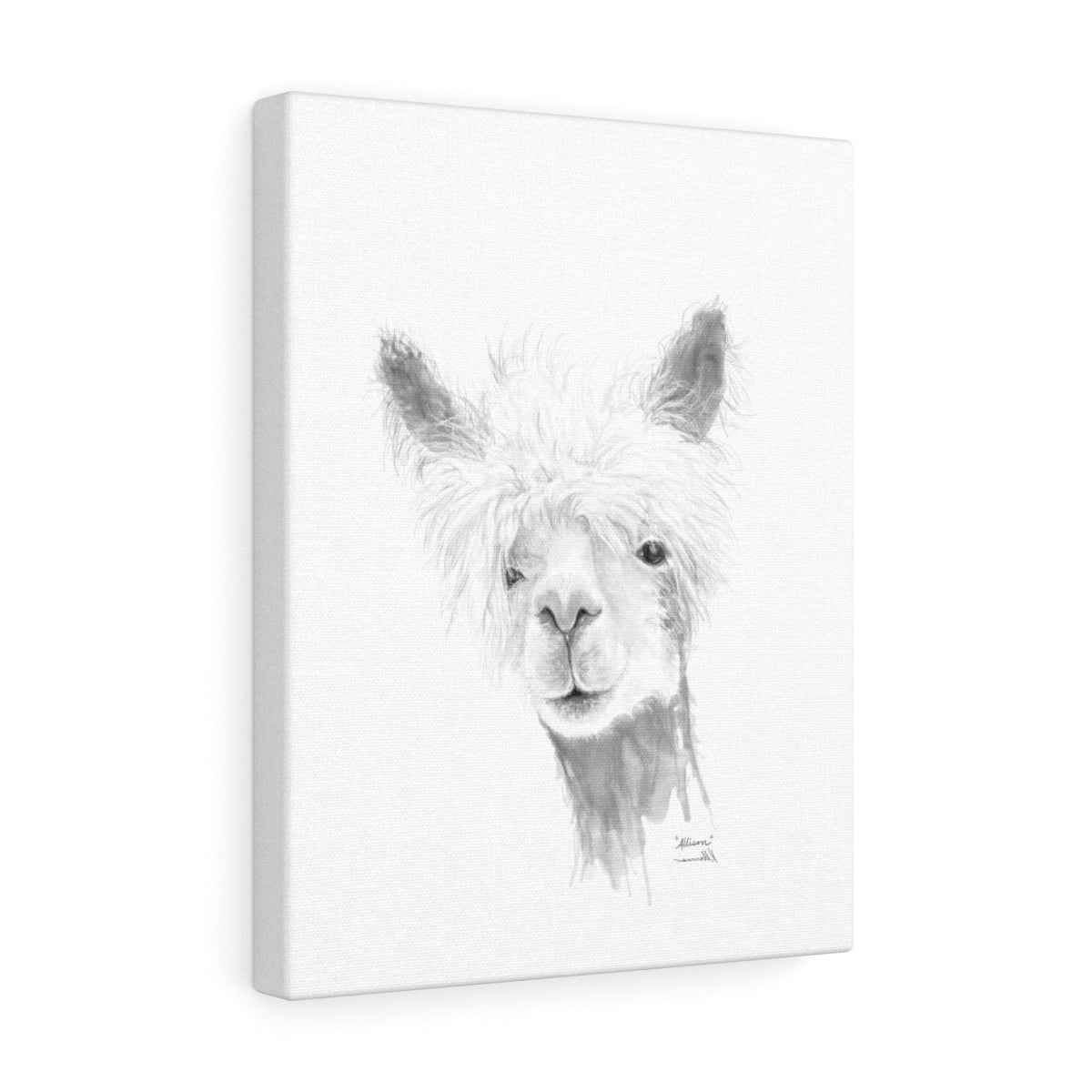 ALLISON Llama - Art Canvas