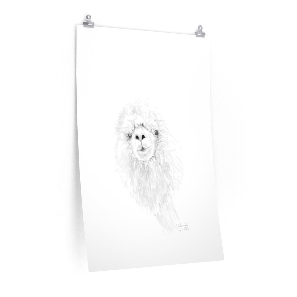 JEDADIAH Llama- Art Paper Print
