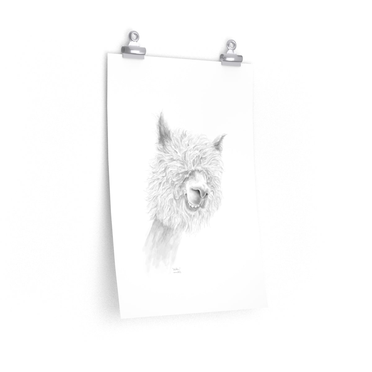 WALTER Llama- Art Paper Print