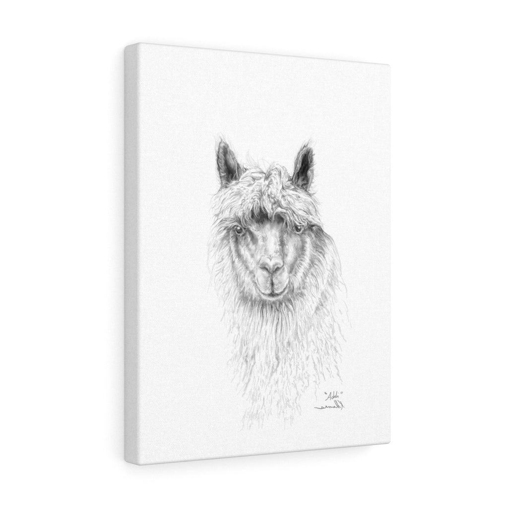 ADDI Llama- Art Canvas