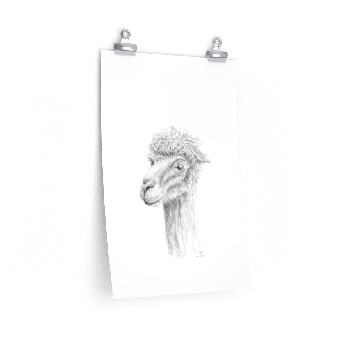 WILL Llama- Art Paper Print