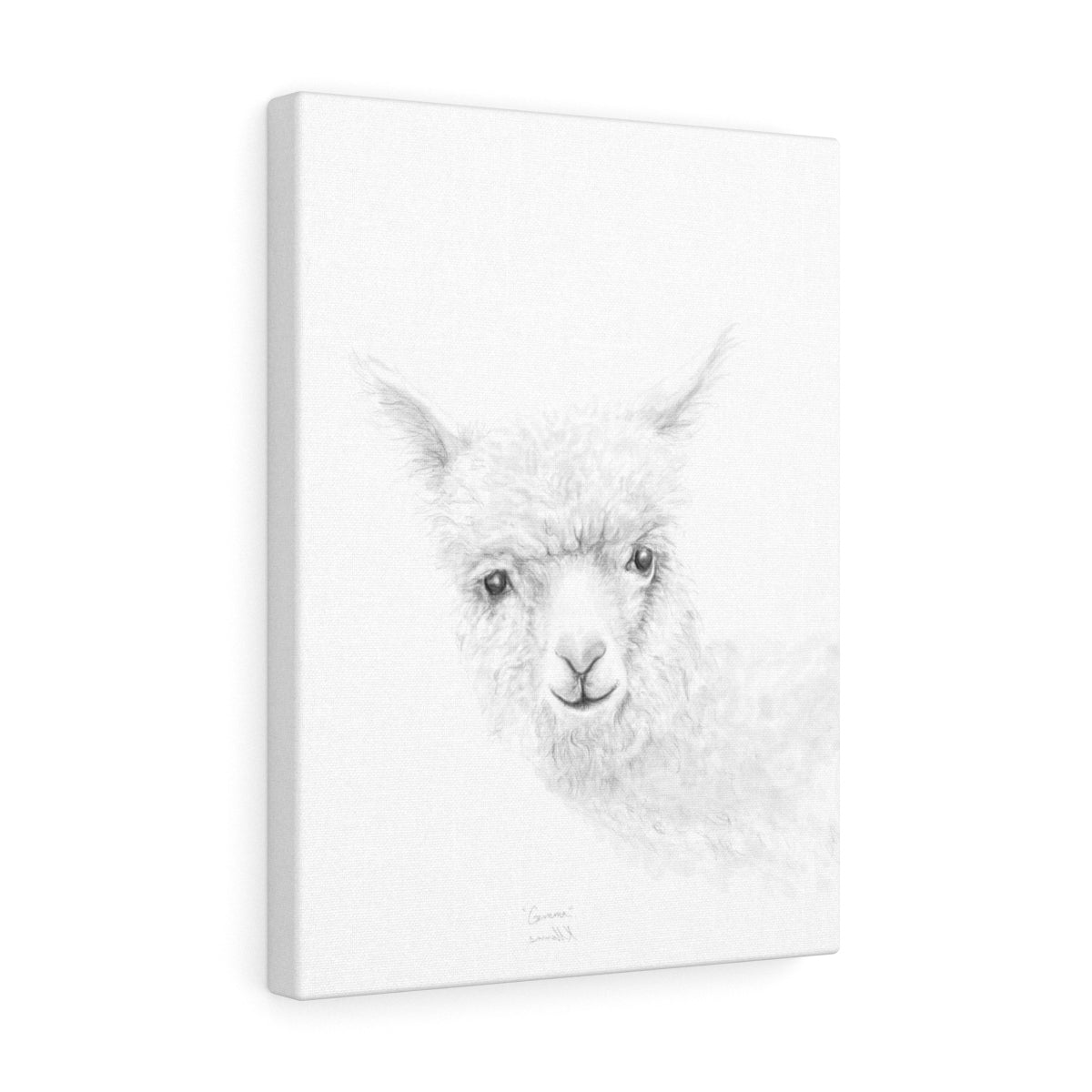 GEMMA Llama - Art Canvas