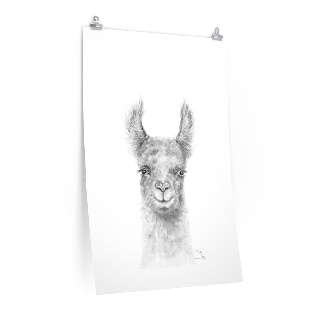 KELLY Llama- Art Paper Print