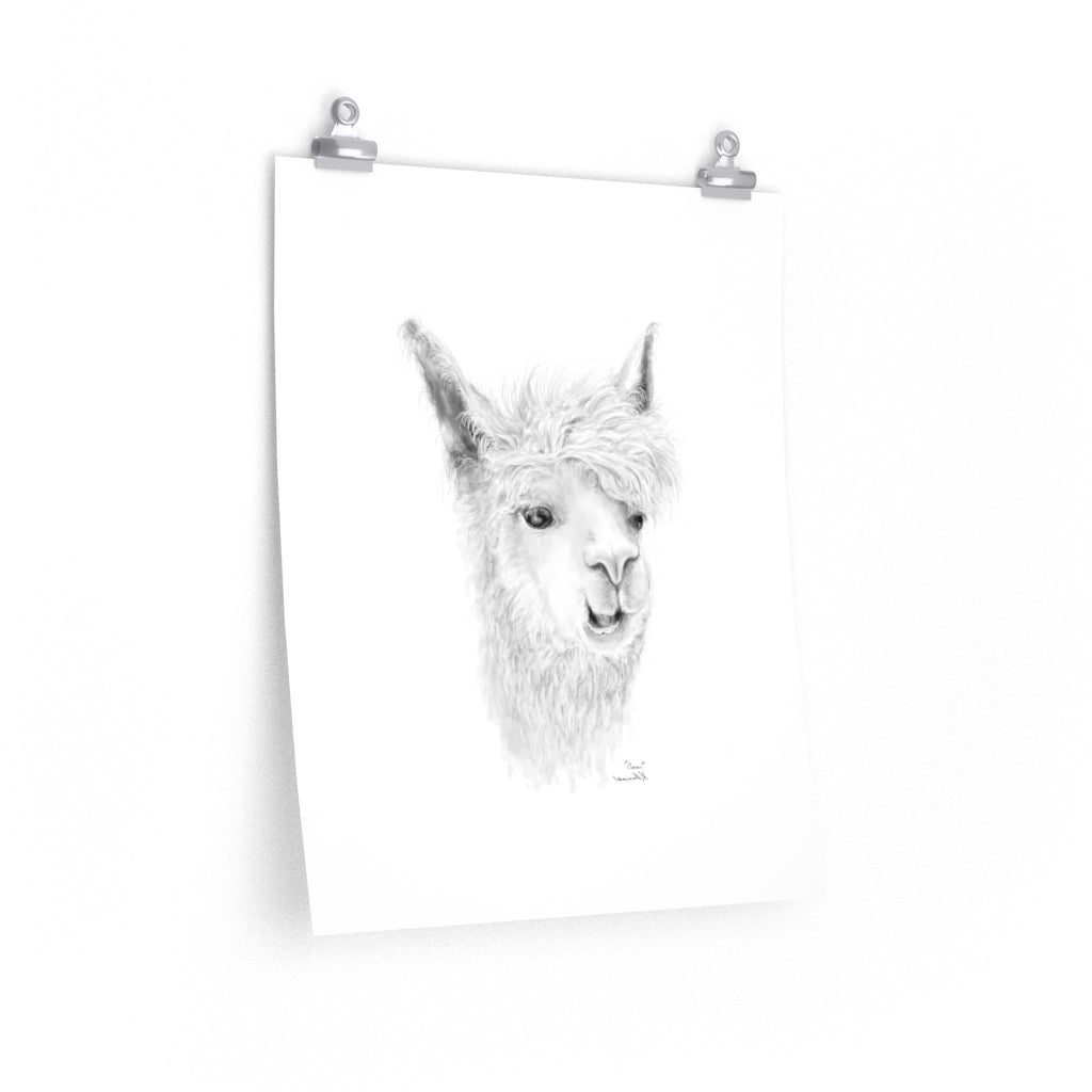 OMAR Llama- Art Paper Print