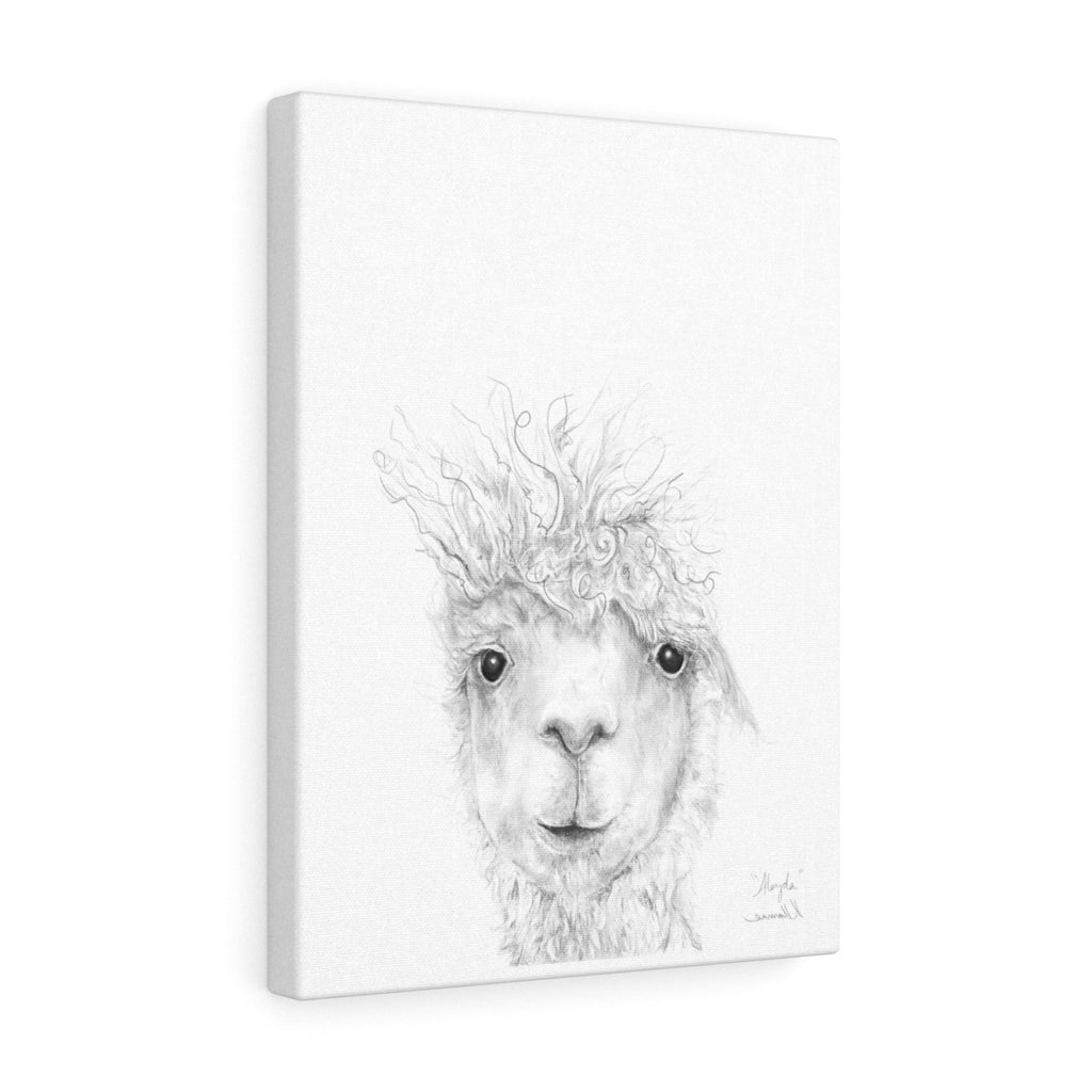 ALEYDA Llama - Art Canvas