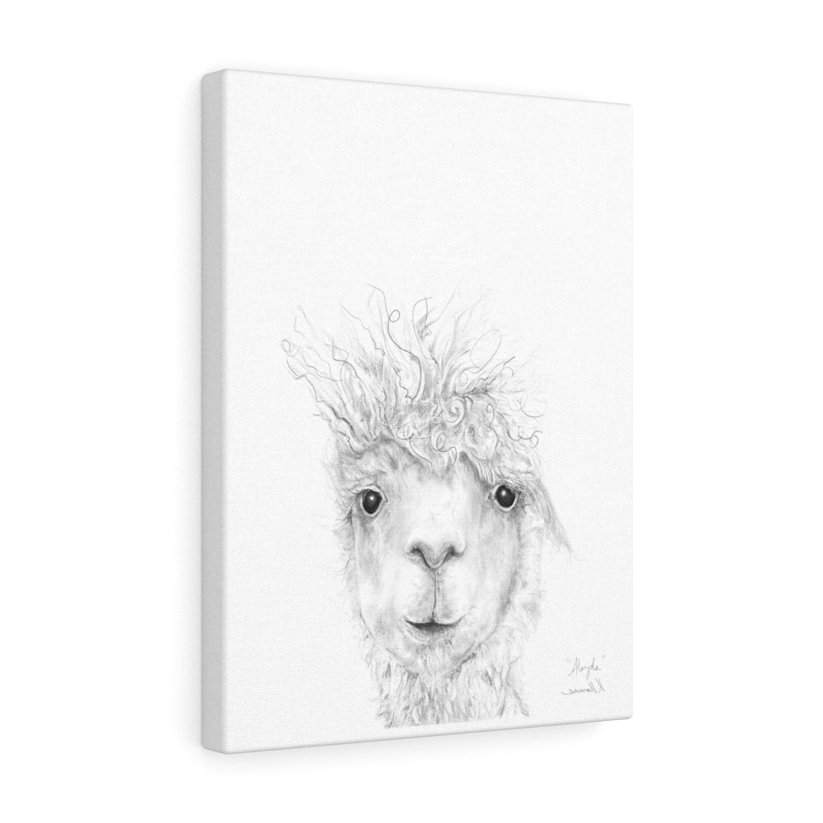 ALEYDA Llama - Art Canvas