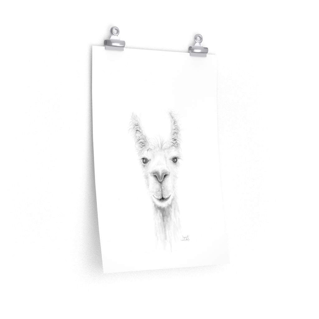 IZAIAH Llama- Art Paper Print
