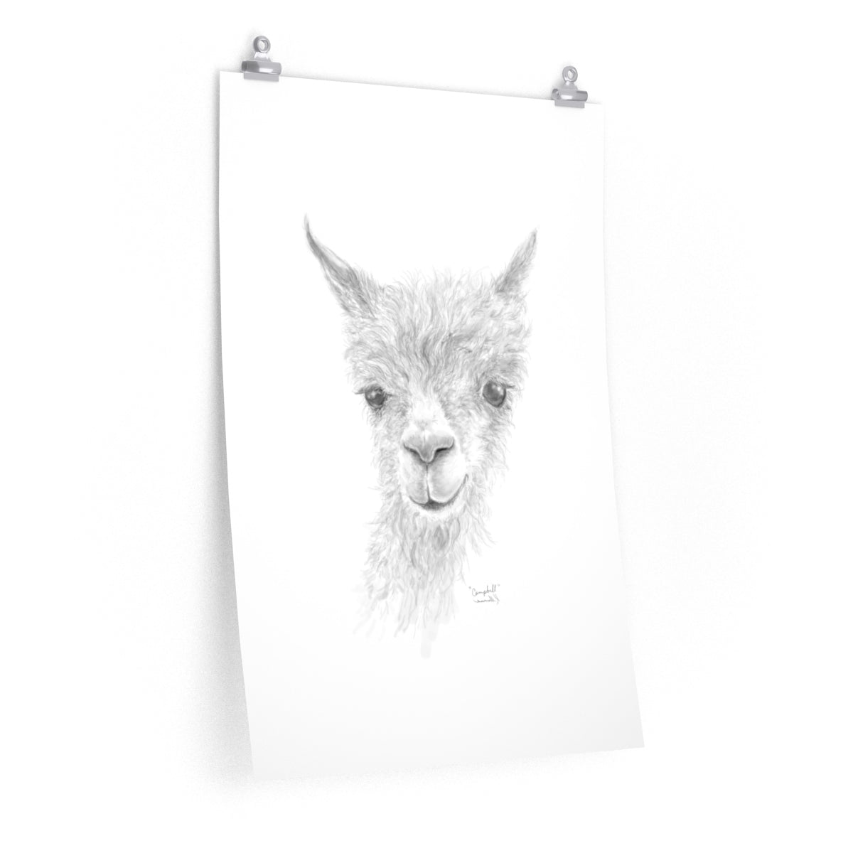 CAMPBELL Llama- Art Paper Print