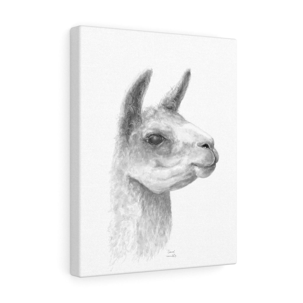 CIERRA Llama - Art Canvas