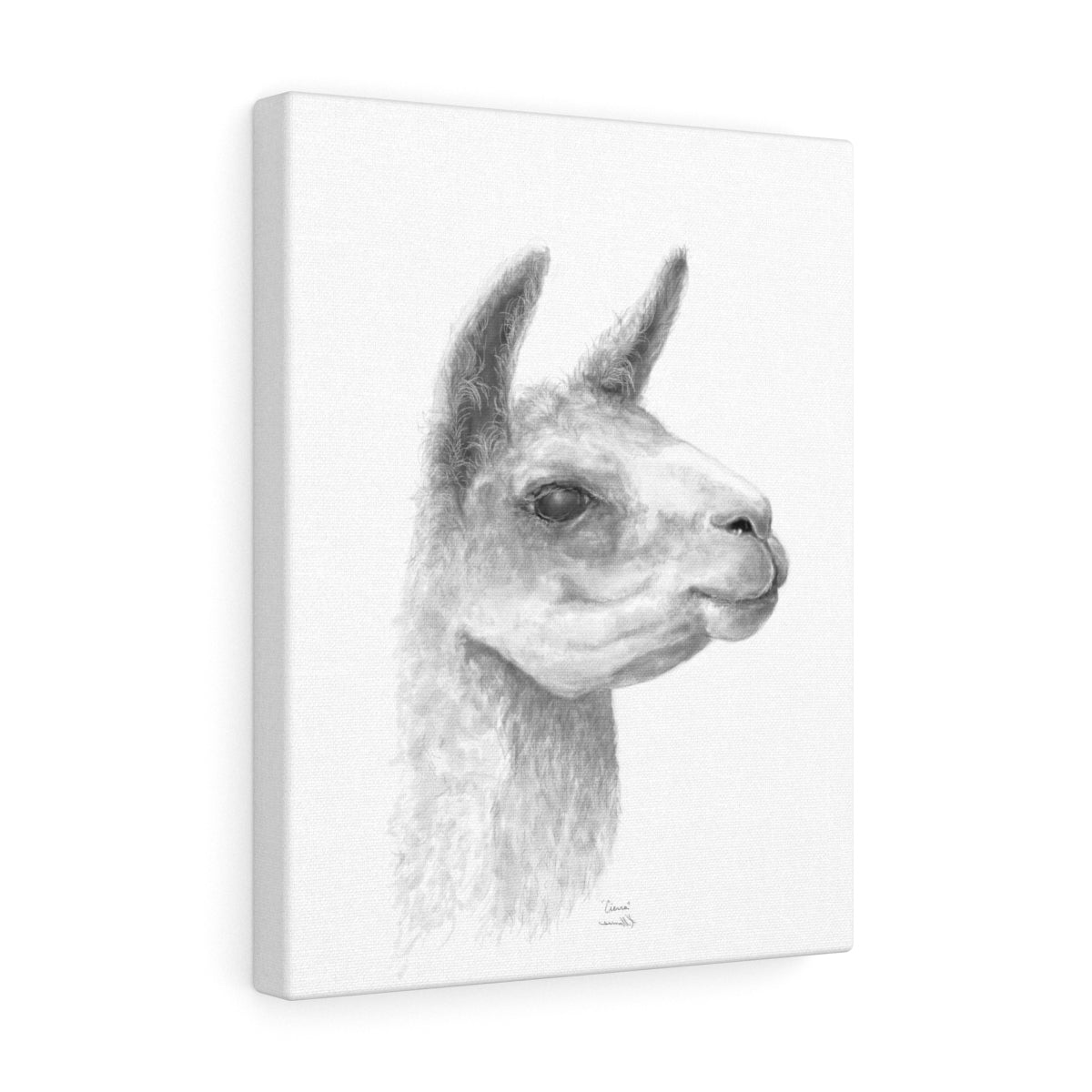 CIERRA Llama - Art Canvas