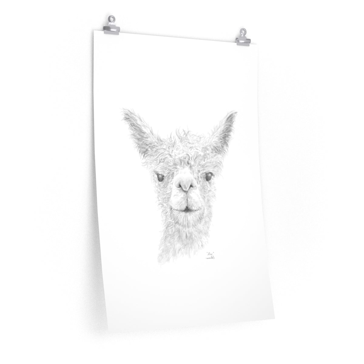 Alex Llama- Art Paper Print