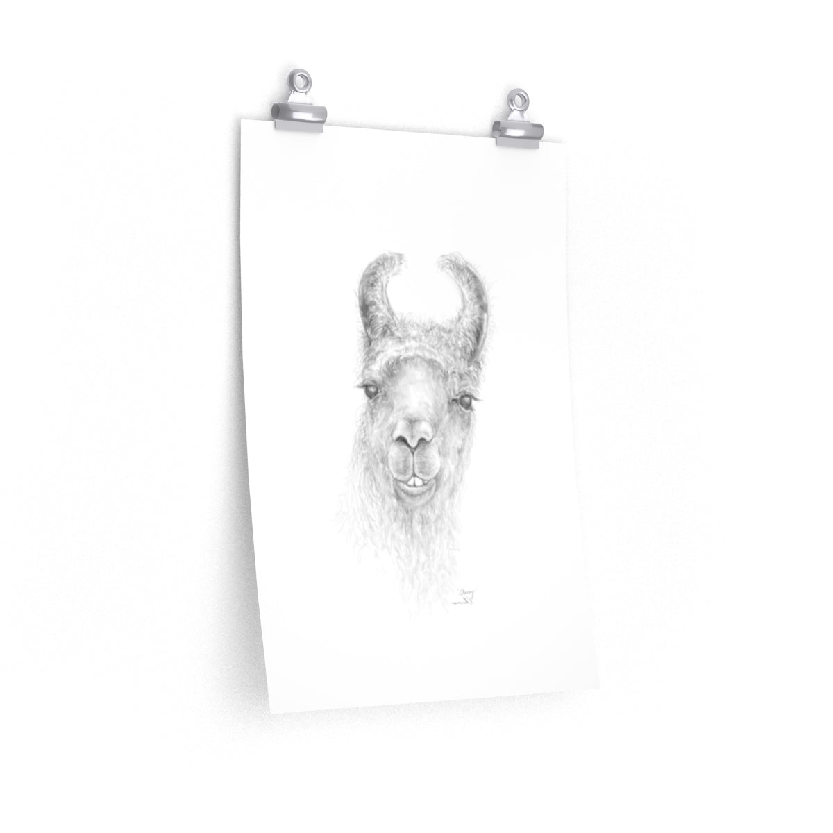 STACEY Llama- Art Paper Print