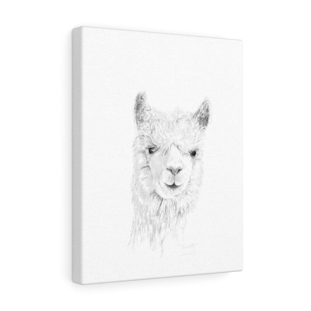 PRESCOTT Llama - Art Canvas